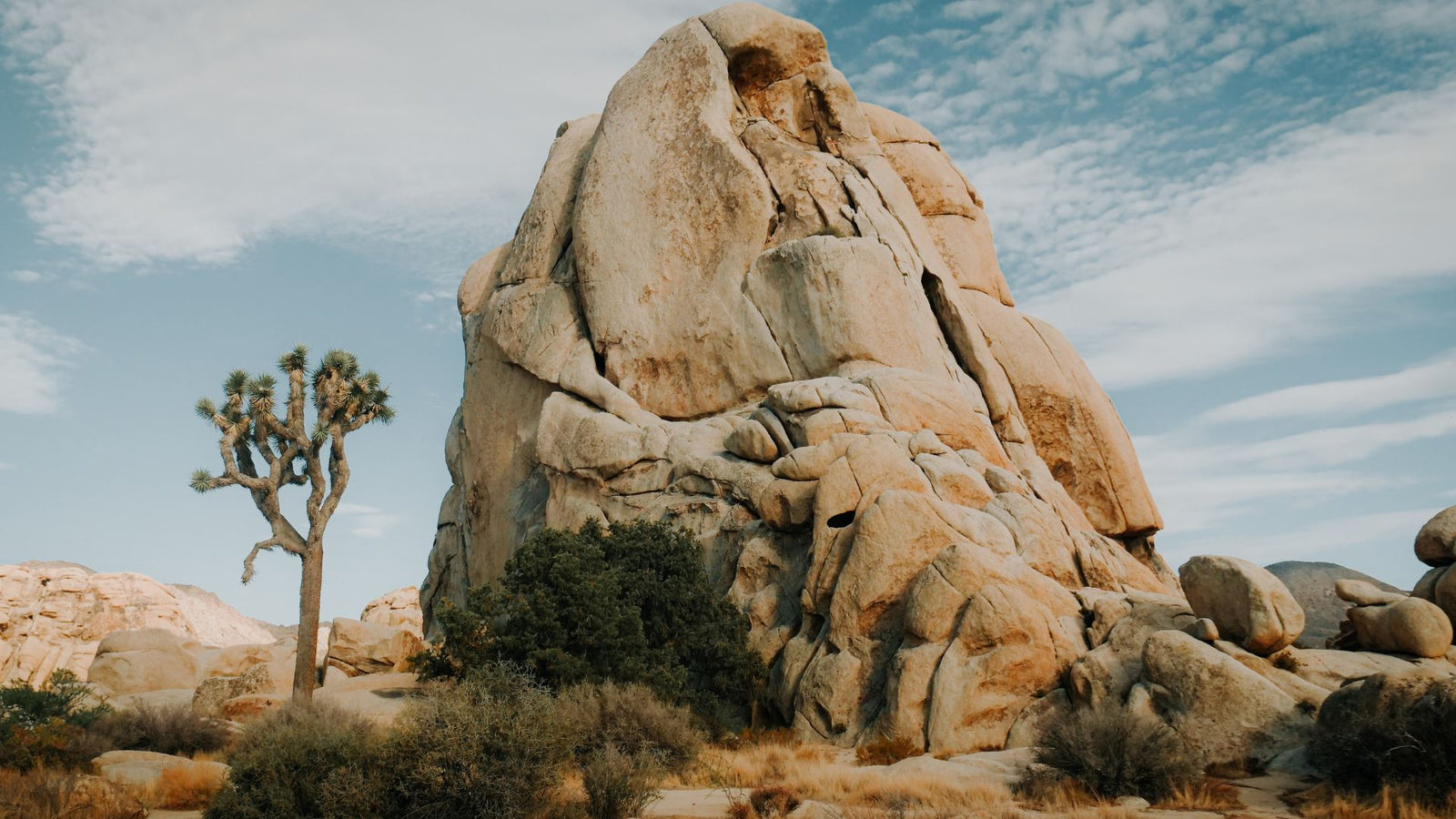 7 Amazing Hiking Trails in Joshua Tree National Park
