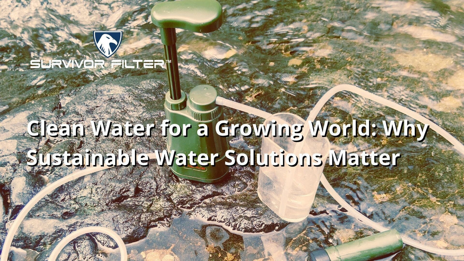 Clean Water for a Growing World: Why Sustainable Water Solutions Matter