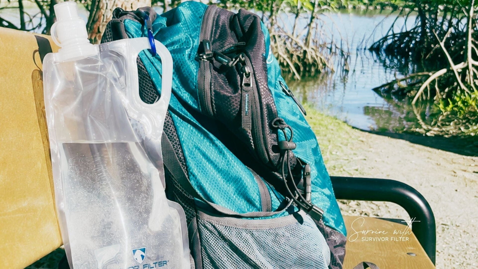 Mangrove Conservation: Nature's Coastal Shield We Can't Afford to Lose