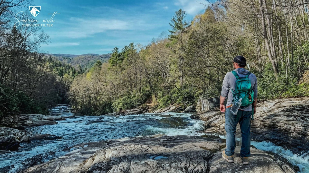 The Importance of Habitat: Protecting the Places Life Calls Home
