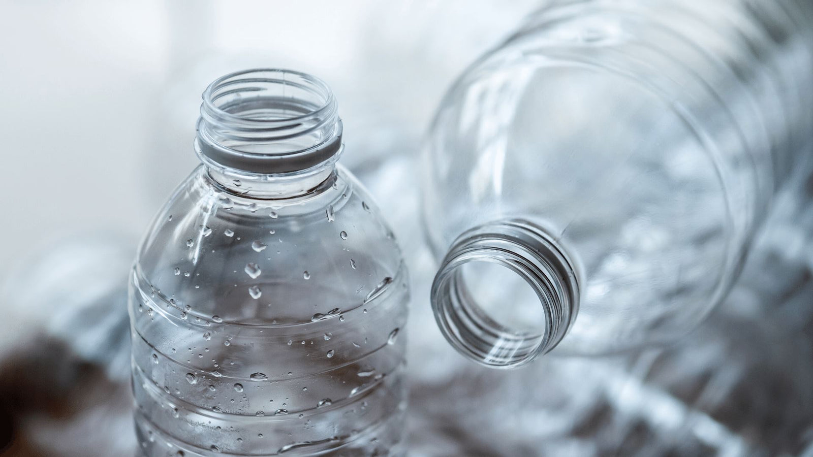 How Water Pollution Is Affecting The Environment And Our Health